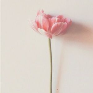 Meet your Posher, Margi